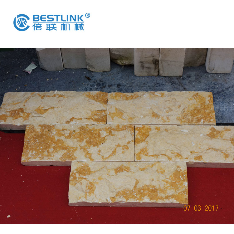 mushroom machine (43)